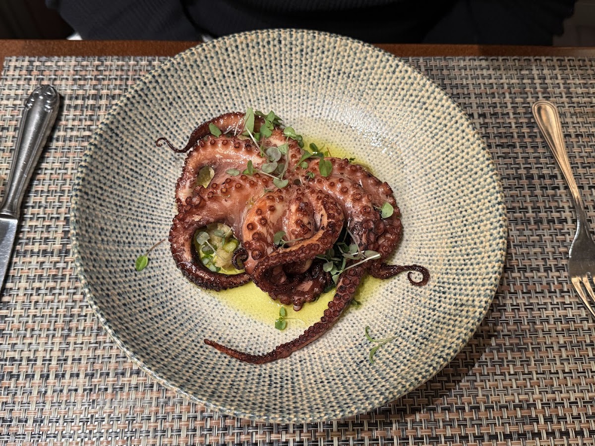 Golden crispy codfish fritters