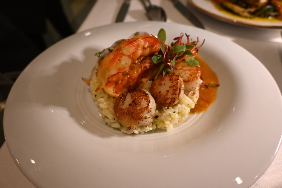 Scallop and shrimp risotto